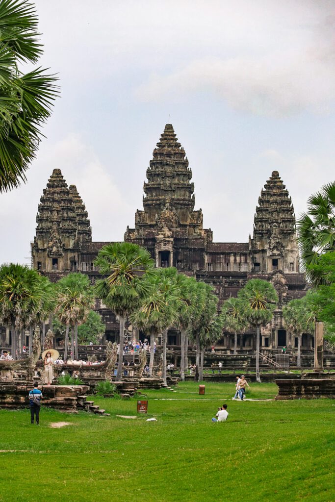 Cata Paul 🃏‍‍‍ tweet media