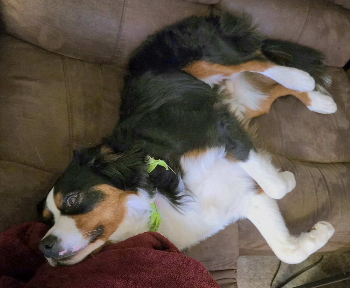 Sinder 🔥 tweet media