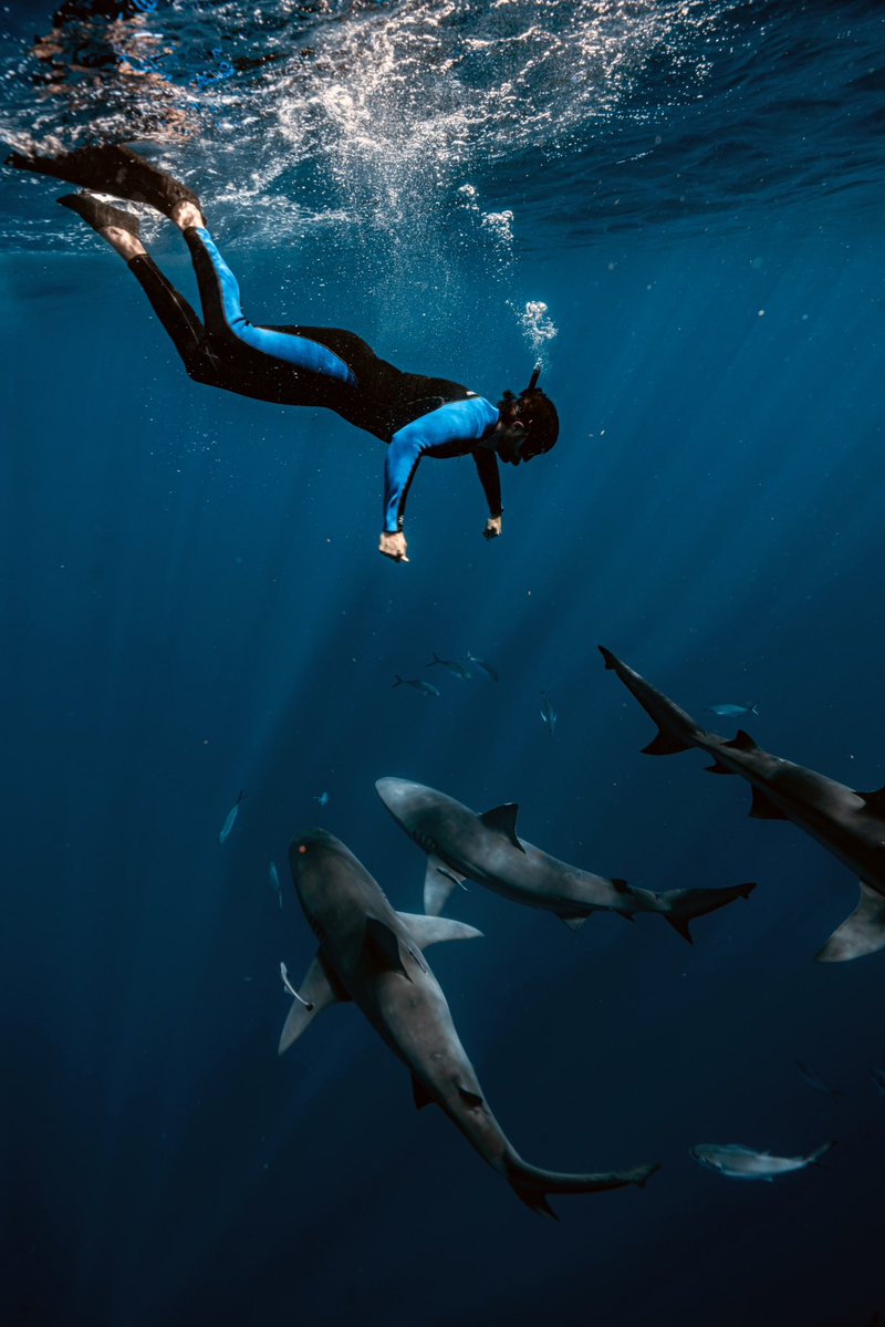 Clovis Nienow tweet media