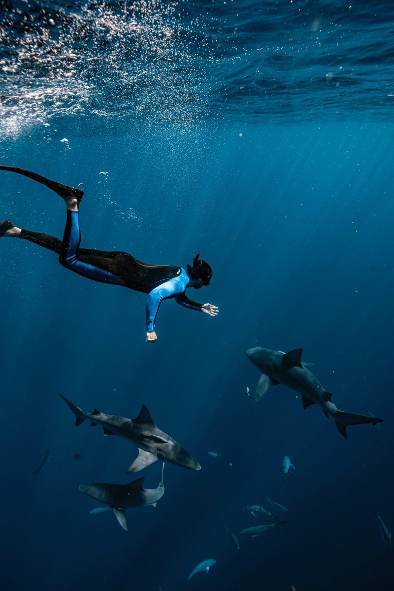 Clovis Nienow tweet media