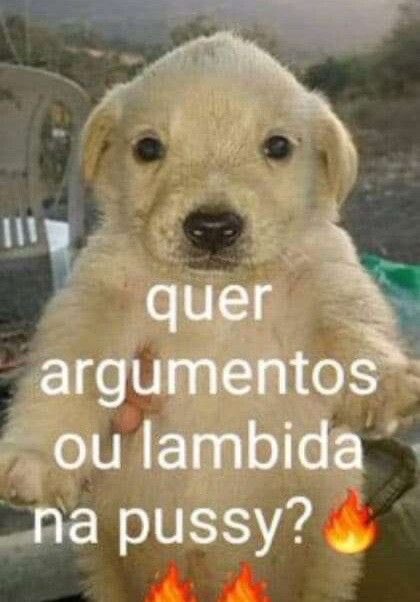 Pérolas do Broxada Sinistra tweet media