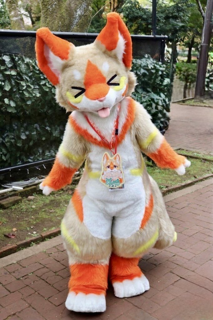 ろーが tweet media