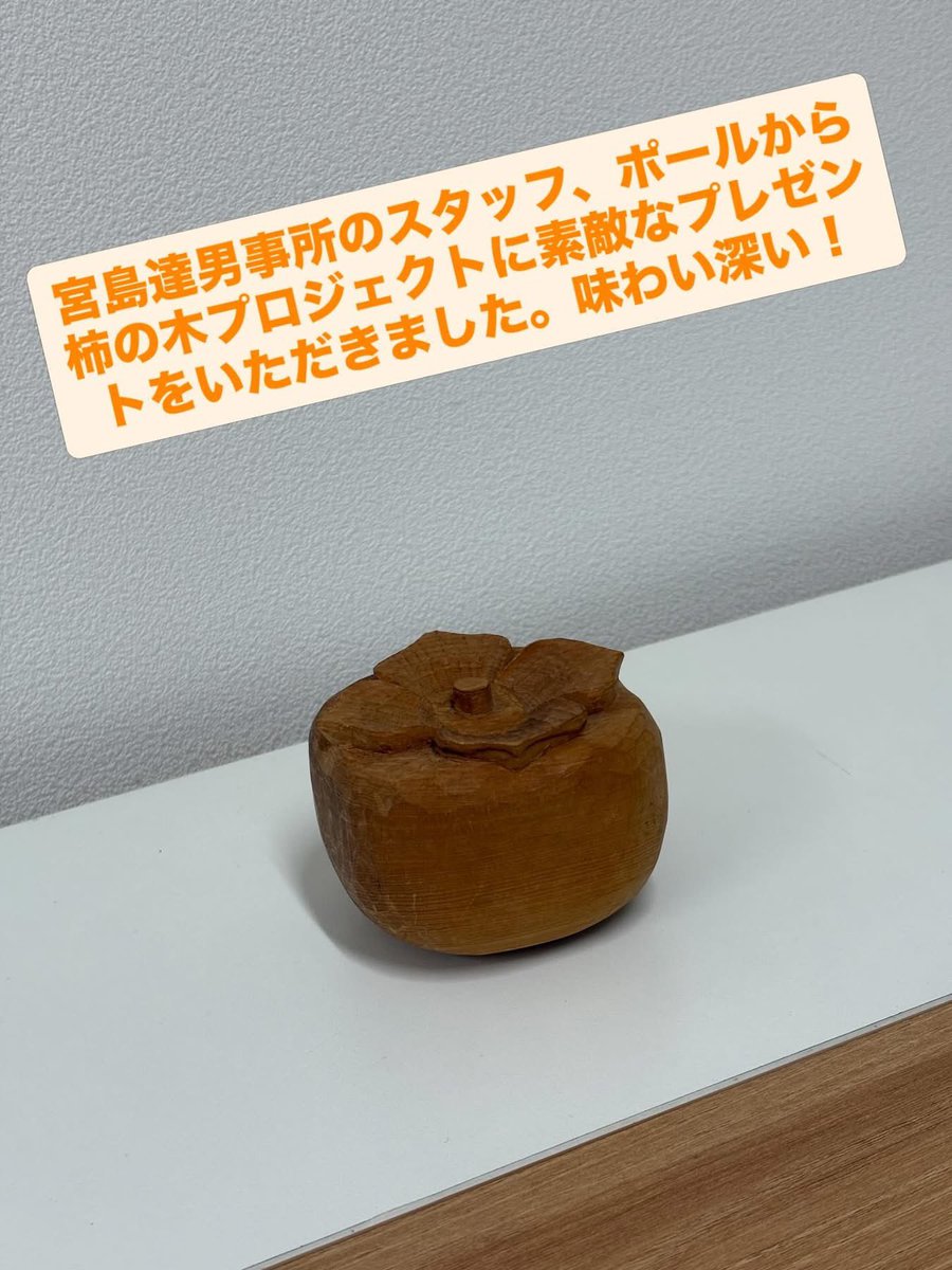 kaki.tree.project 🌱🌱🌱🌱🌱🌱 🌱時の蘇生・柿の木プロジェクト 🌱 tweet media