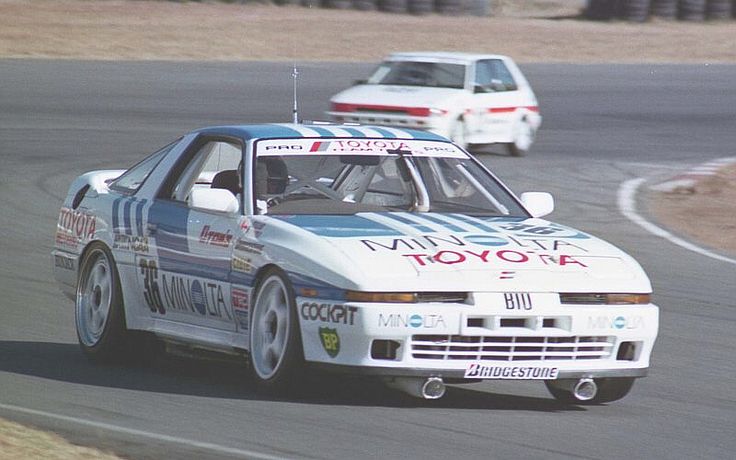 ブルテリア🐕🇯🇵 tweet media