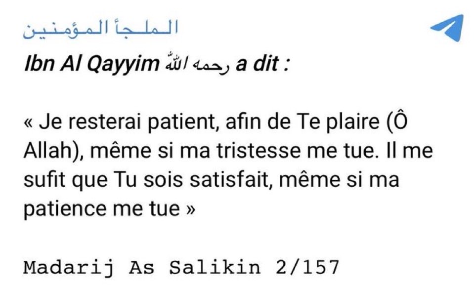 Lune 🦋 tweet media