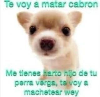 𝓚α𝘵𝒚 🌐🔲|ᛕᔰ tweet media