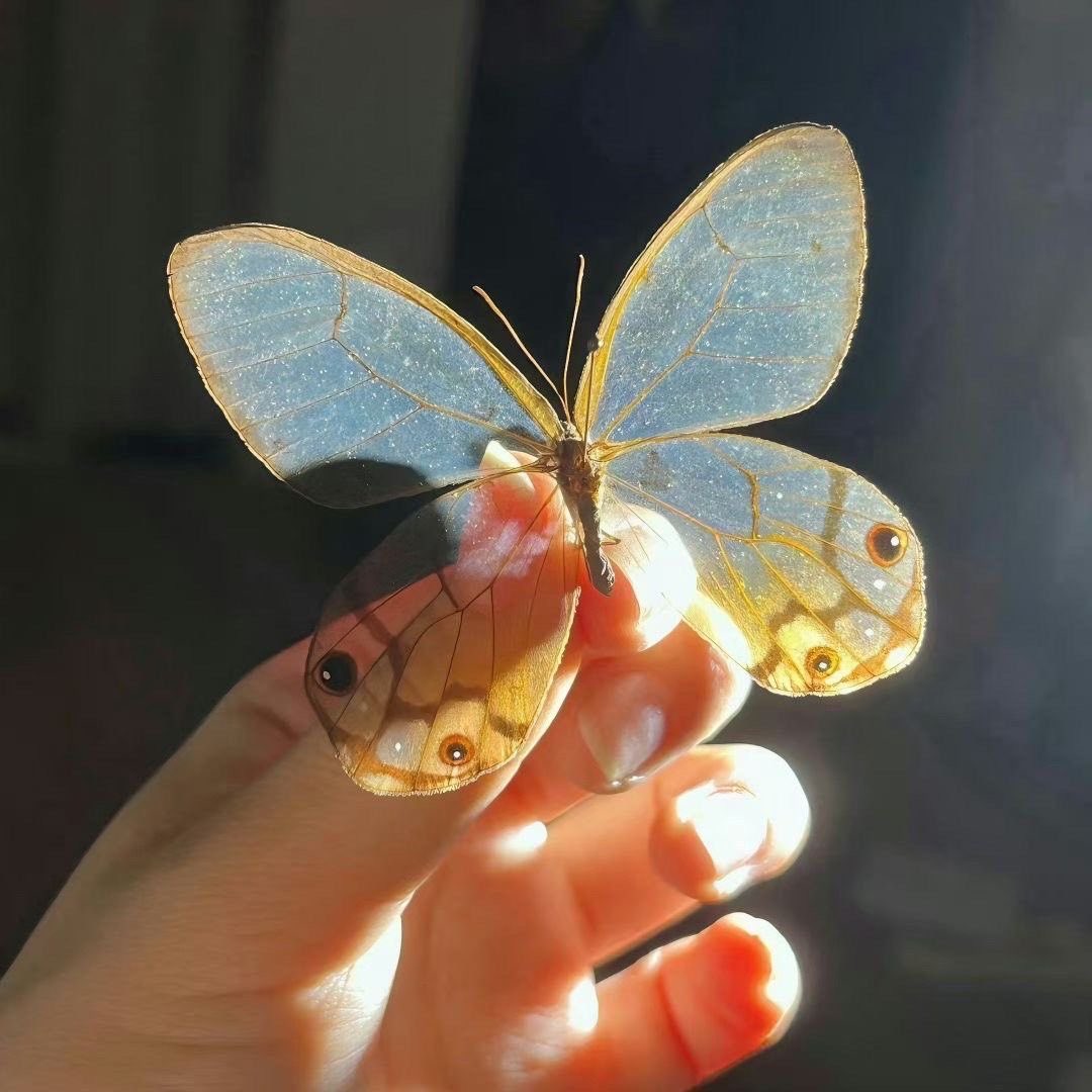 Vanize Lemos tweet media