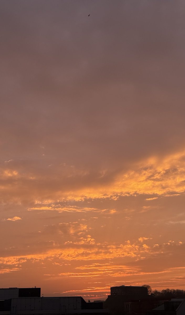 أحــمــد |🇸🇦 tweet media