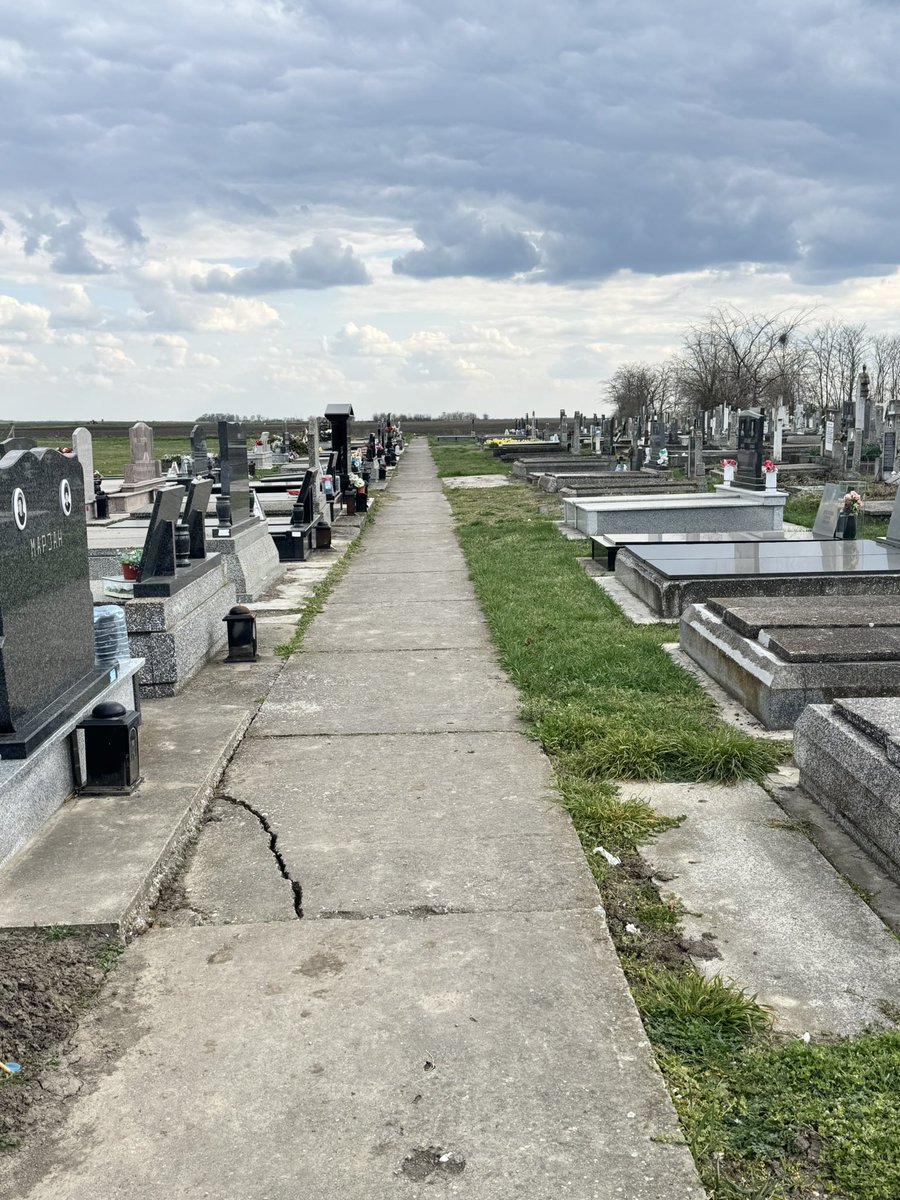 Бубамара из Кикинды tweet media