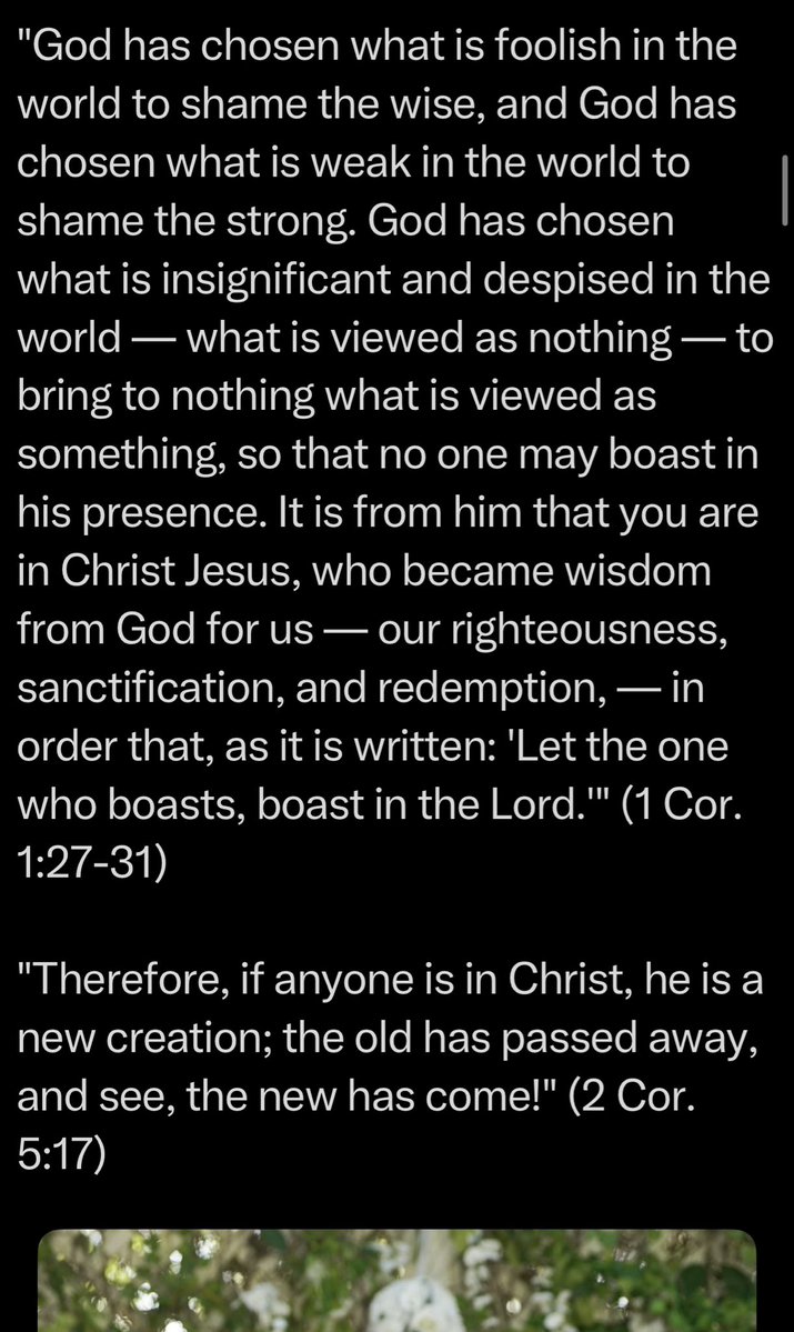 Adrienne tweet media