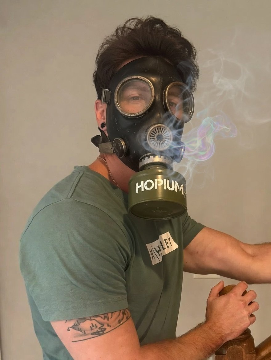 monadbull ⨀ tweet media