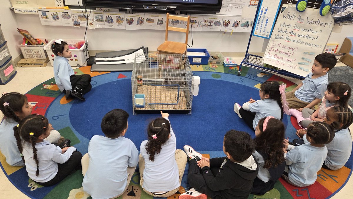 Ms.Stephanie Morales 🌎📚♥️👩‍🎨 tweet media