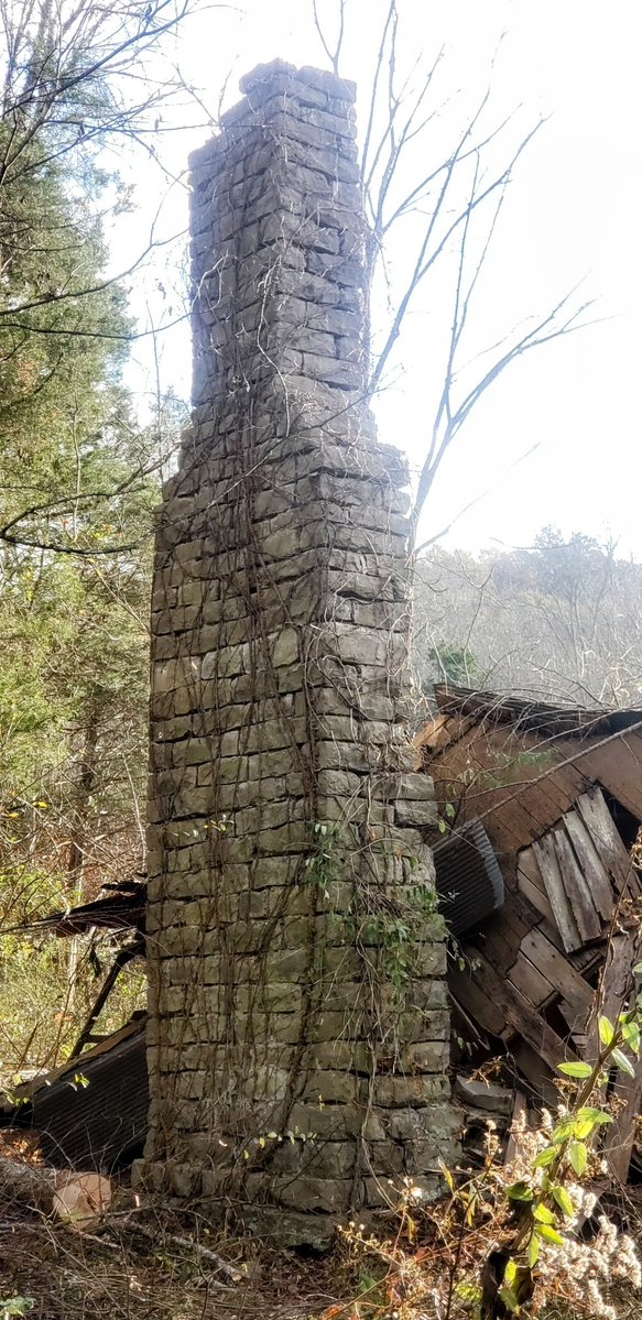 Jackson Action 📷 tweet media