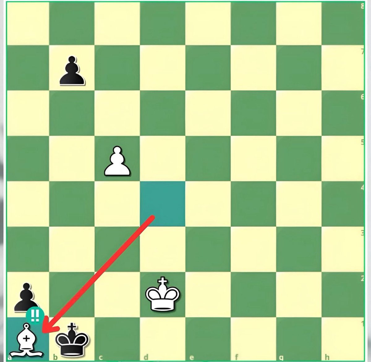 Chess Master tweet media