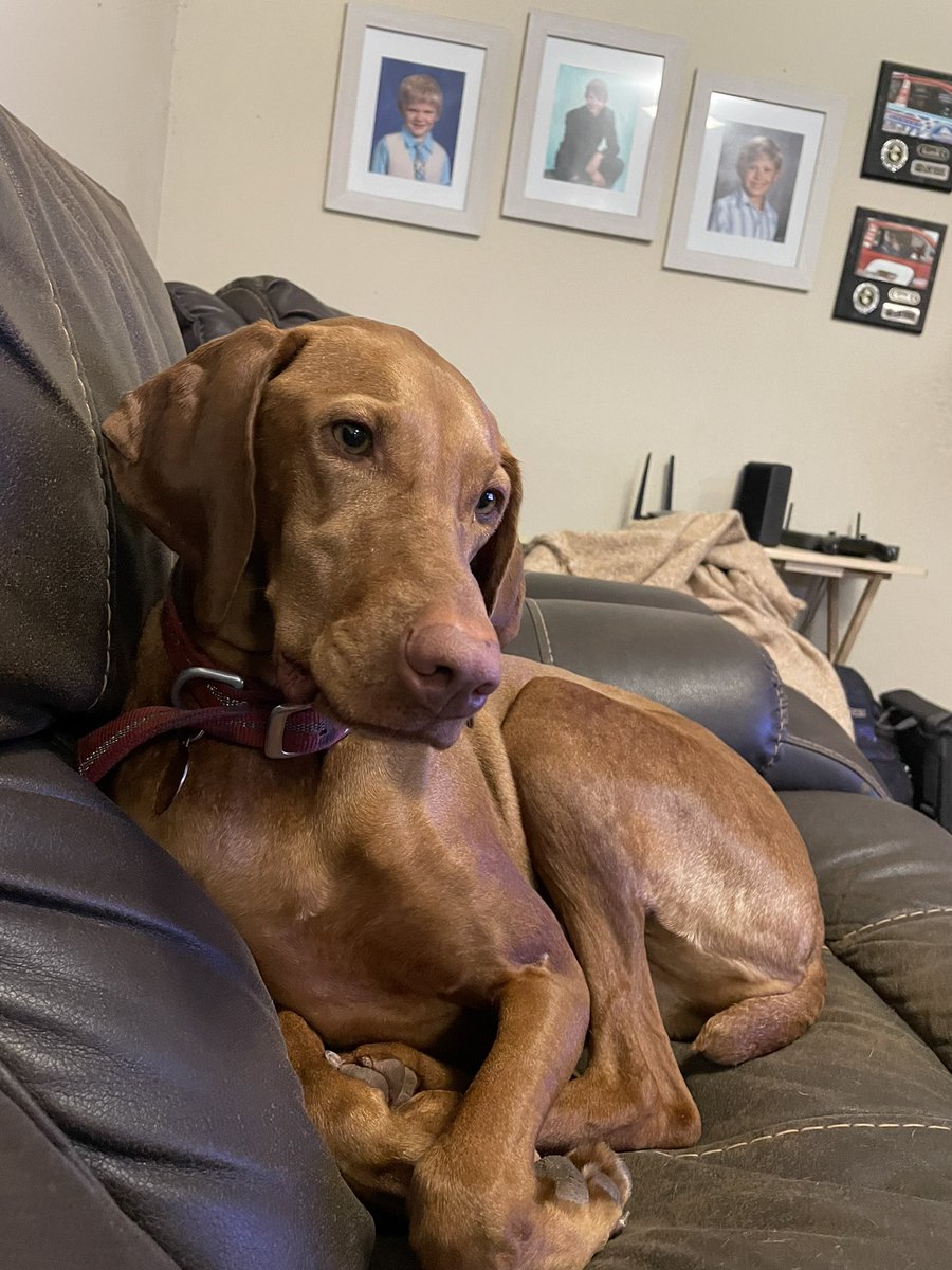 Cozy TV Cat Lover 🌊🌊🌊🎶🍷 tweet media