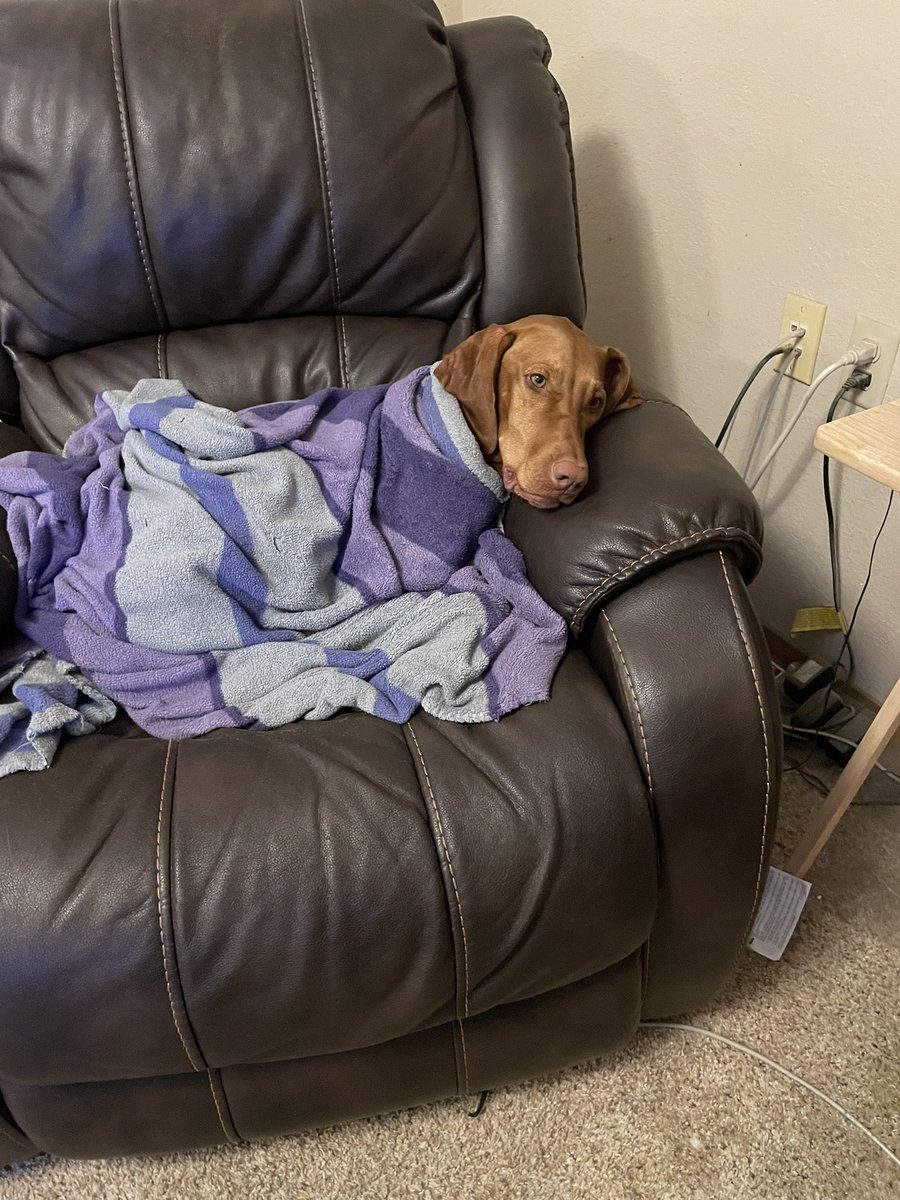 Cozy TV Cat Lover 🌊🌊🌊🎶🍷 tweet media