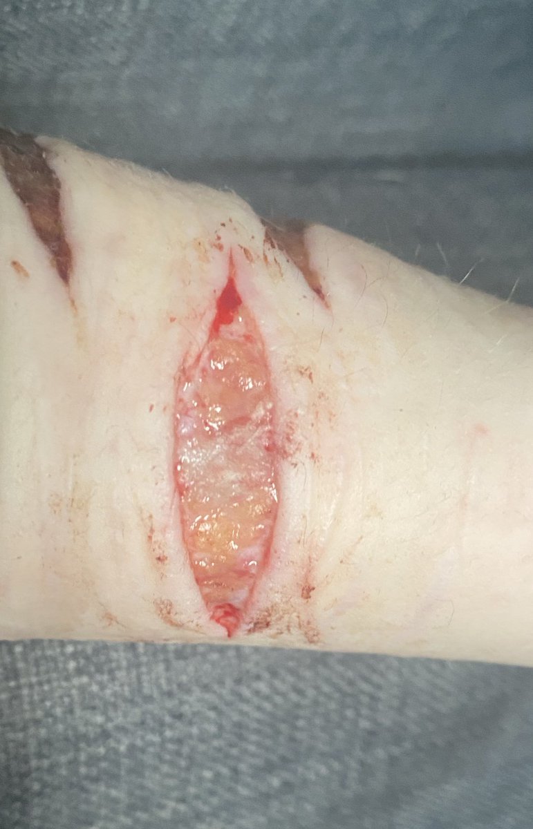 Satanick of Shtwt tweet media