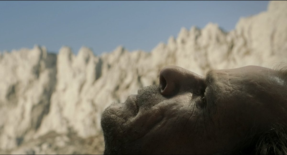 C’est complètement hallucinant à quel point Tsai Ming-liang capte essence de la ville. La communion avec les décors et pourtant l’étrangeté totale qu’incarne la procession du moine, montrent à quel point le territoire marseillais est rythmé par les contradictions.