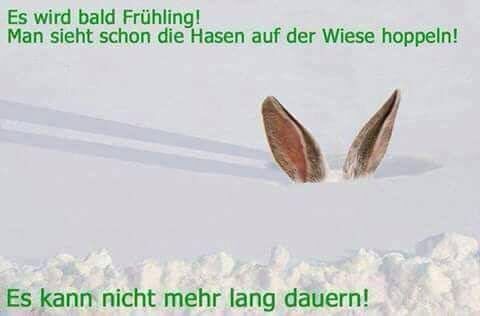 Uwe Vogt tweet media