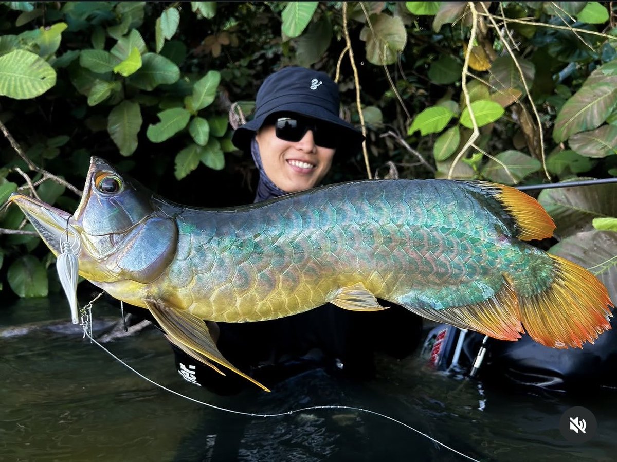 チンピたれ蔵 tweet media