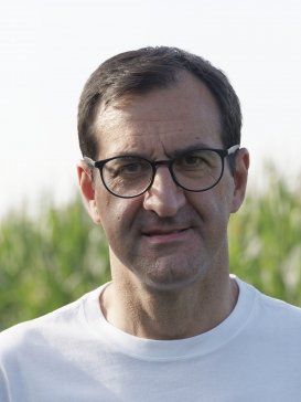 Massimo Falcioni tweet media