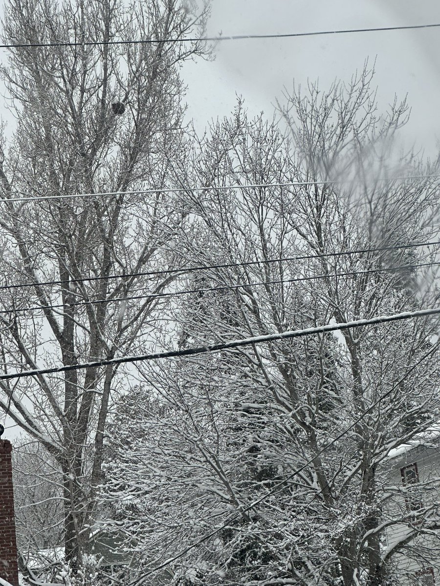 mary 𑁤 tweet media