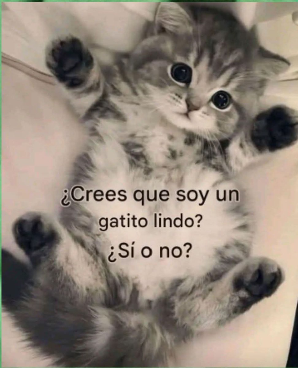 Manu Saenz💛💛 tweet media