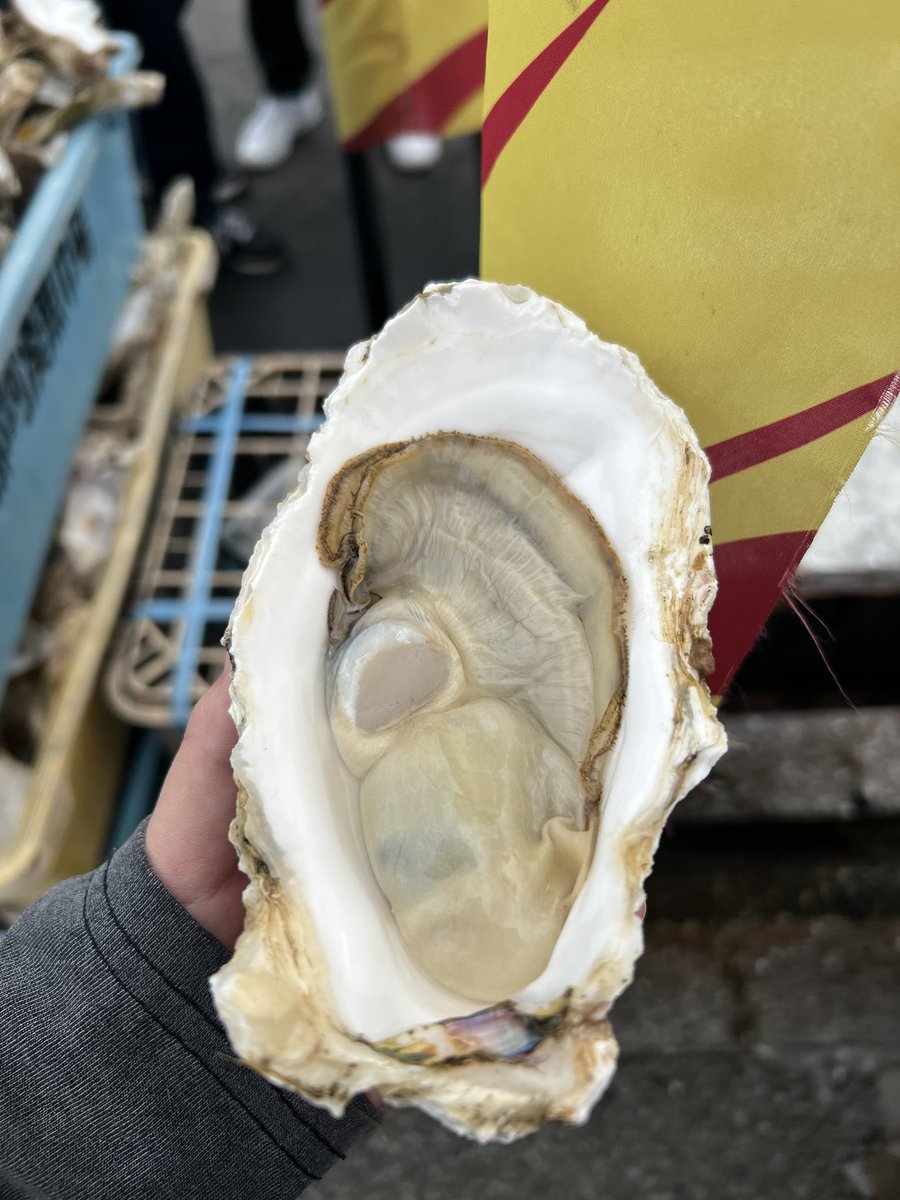 える🍭 【Ðio† / Meria】 tweet media