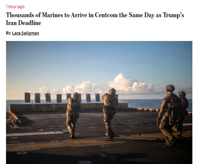 Nikolay Remizov tweet media