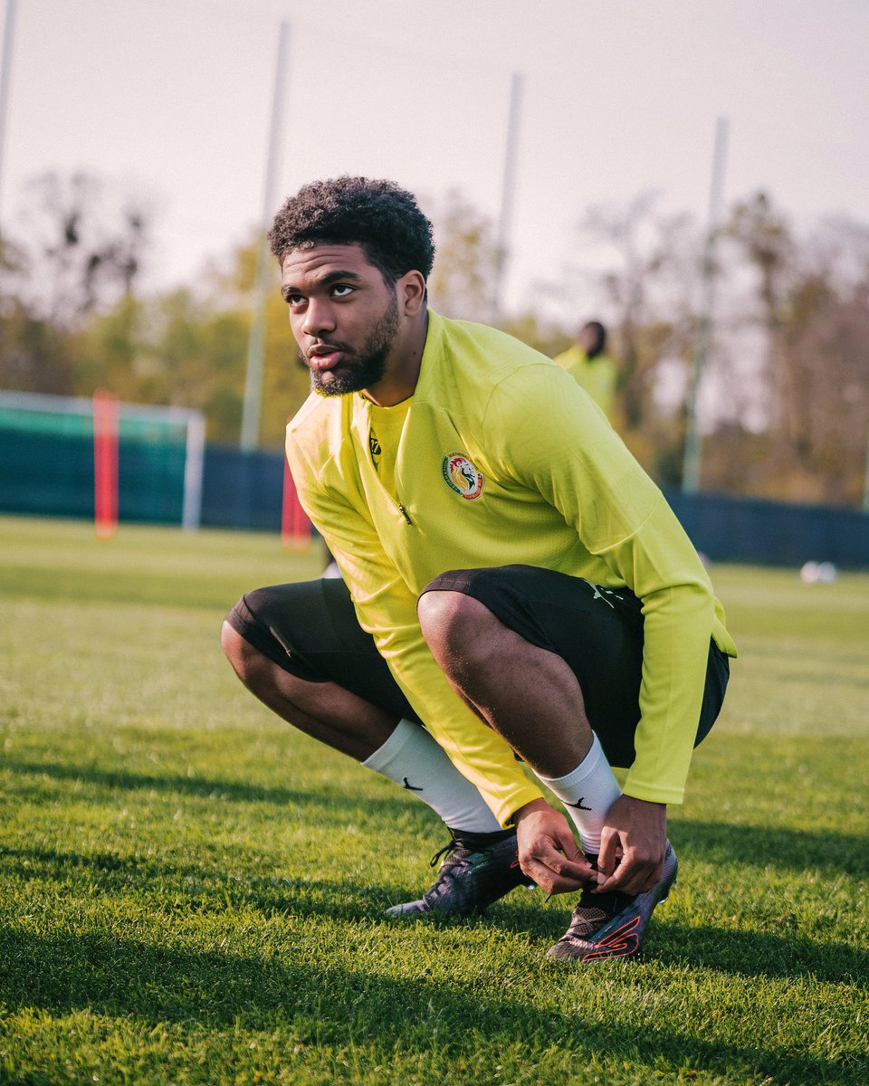 Equipe du Sénégal tweet media