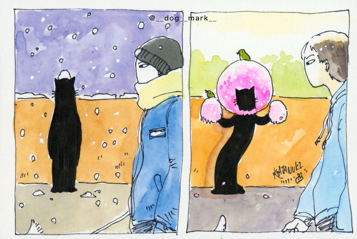 わたぬき けい tweet media