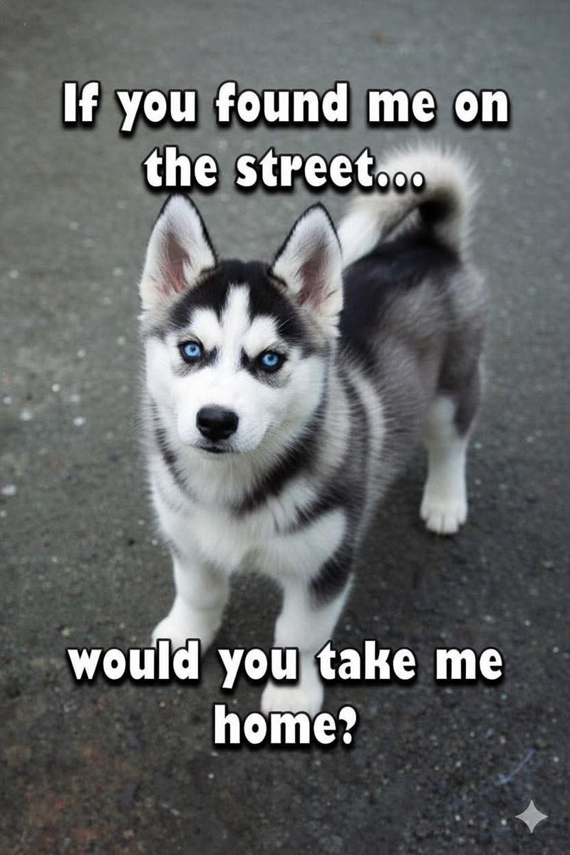 Kristina Bolten tweet media