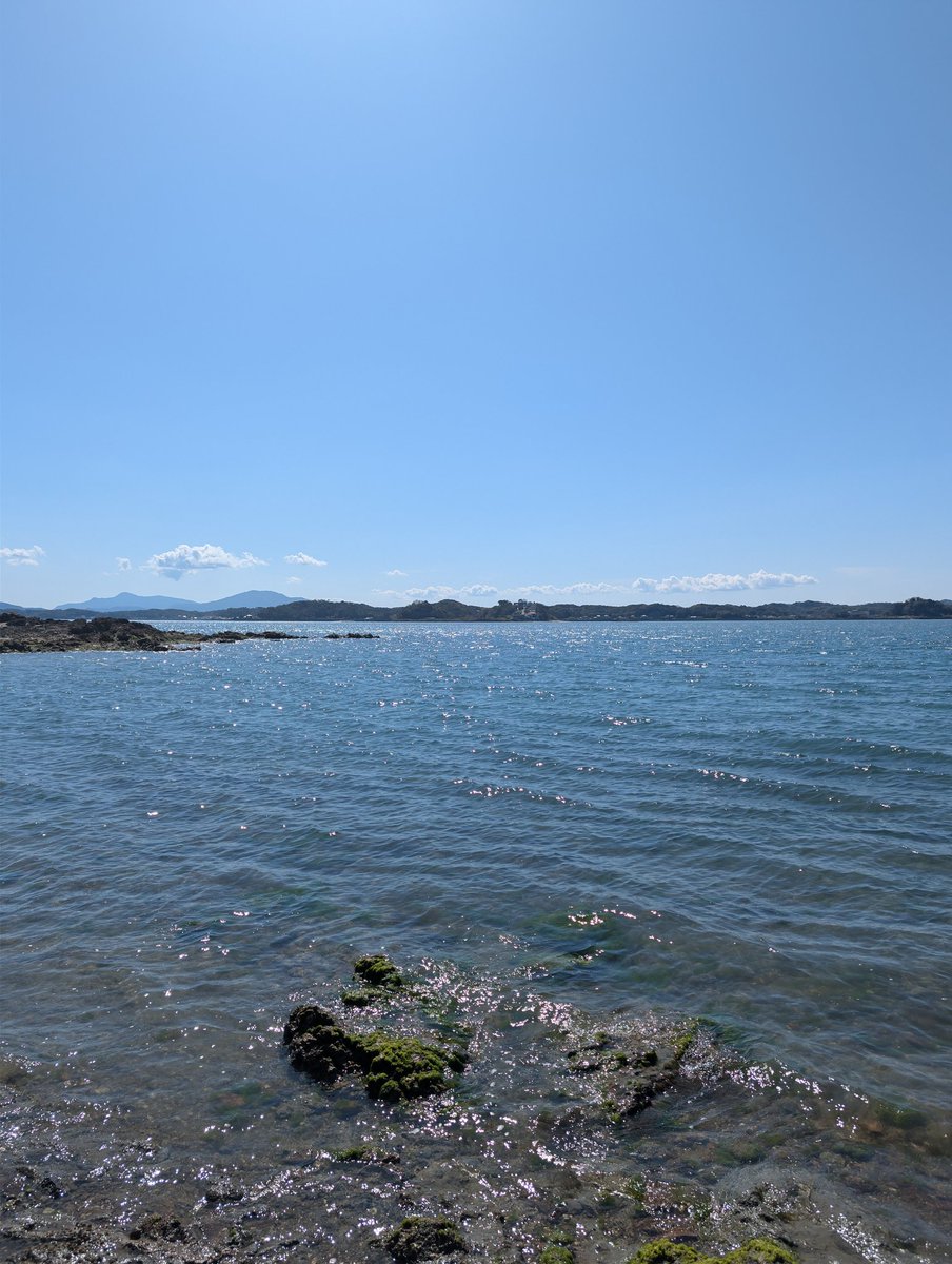 もりぞー tweet media