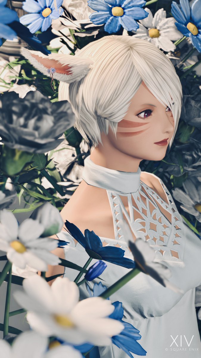 𝘒𝘢𝘯𝘢𝘵𝘢 tweet media