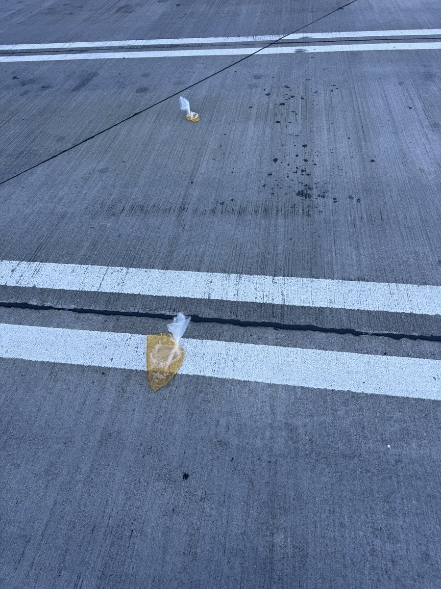 ダイちゃん🫠 tweet media