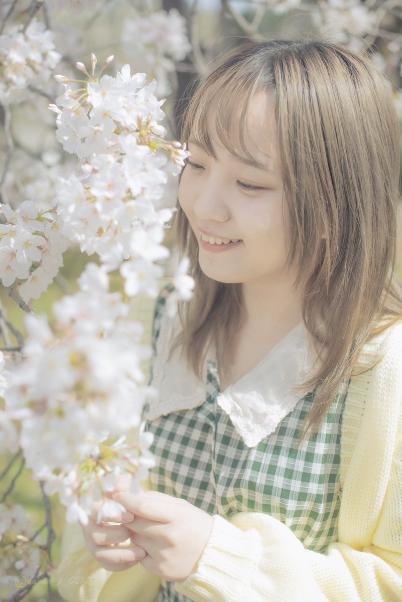 桜花きち/まとば@3/27-29 認定展 tweet media