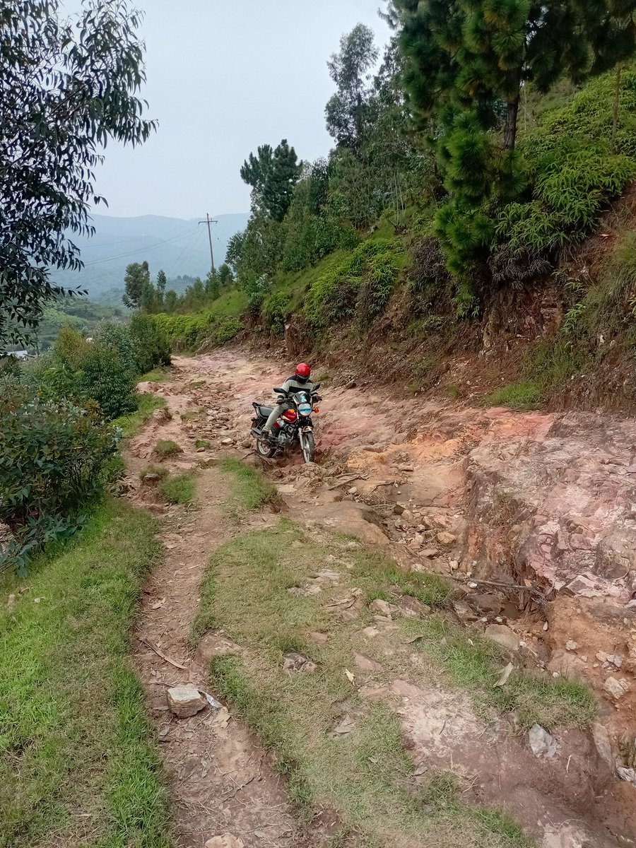 Gloria K. Uwizera tweet media