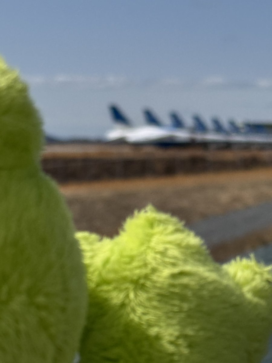 塚原克典🐸 tweet media