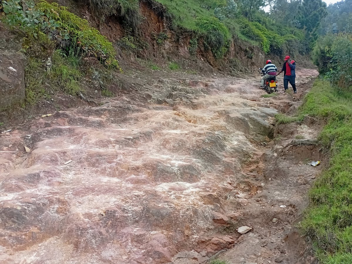 Gloria K. Uwizera tweet media