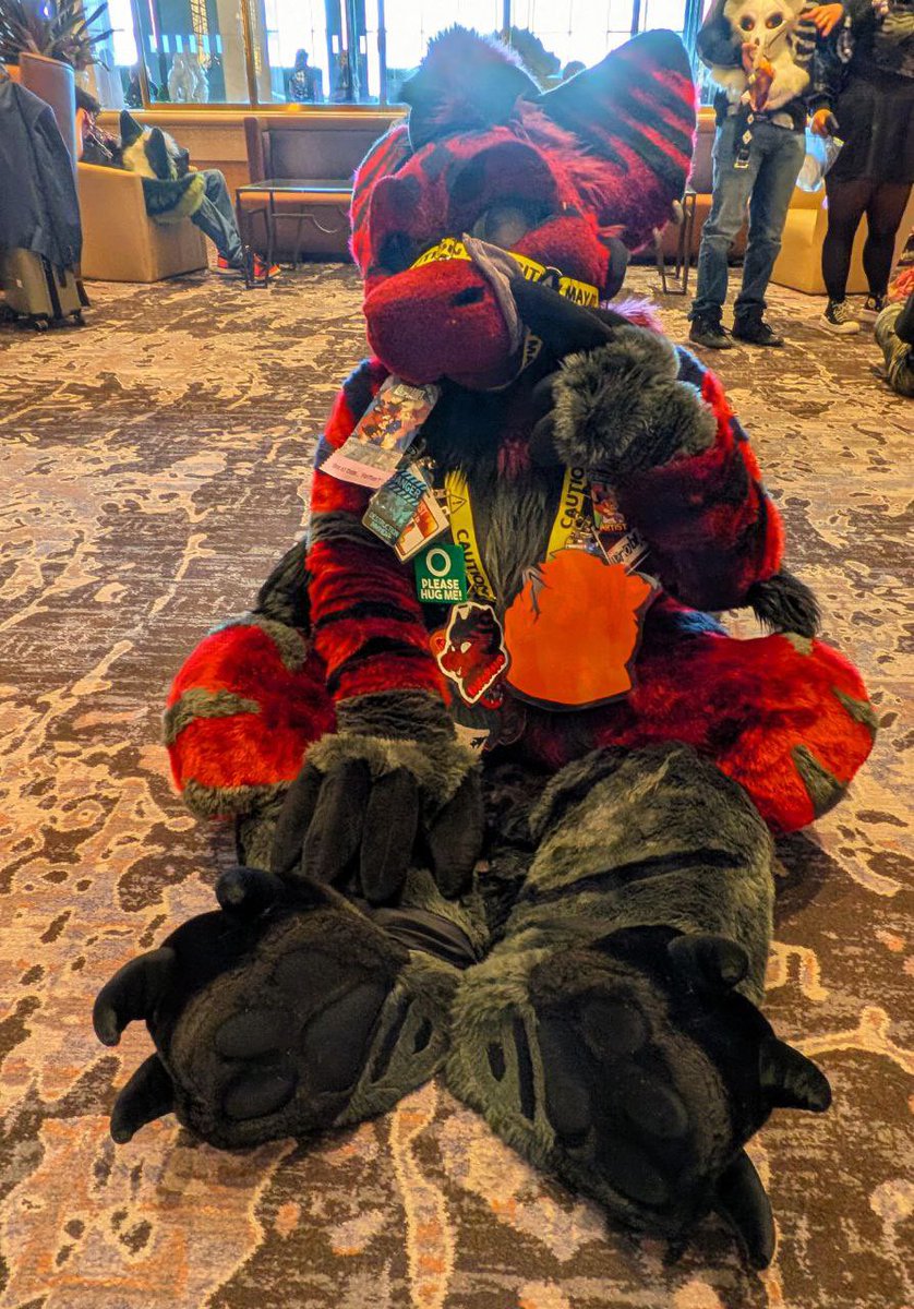 Blue&RedBros 🔜 AFC tweet media