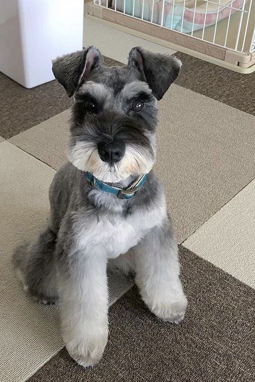 mari loves trinity santos tweet media