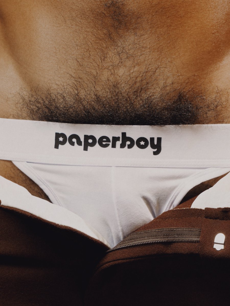 PAPERBOY STUDIOS tweet media