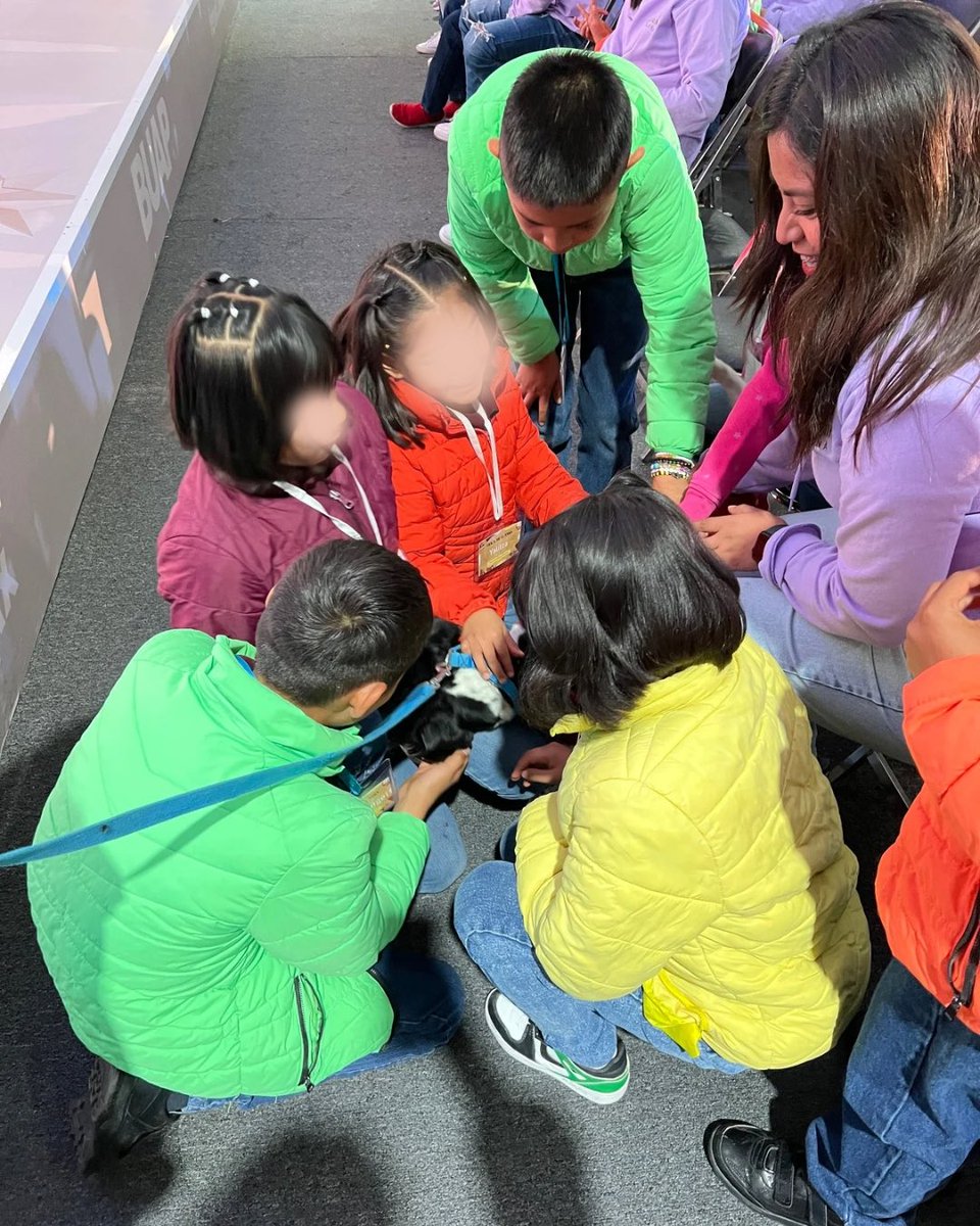 fenalibuap's tweet photo. Hoy nos visitó la Casa de la Niñez Poblana y la Casa del Adolescente . Tuvimos la oportunidad de disfrutar de la compañía de los lomitos de CAETO BUAP, y otras actividades. Gracias por visitarnos y por permitirnos compartir con ustedes las actividades de FENALI. https://t.co/mTkCoQPLML