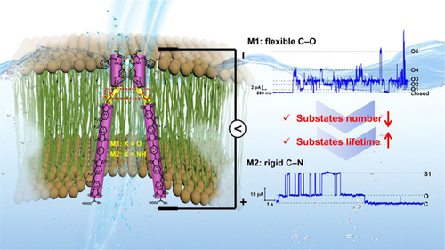 CCSChemistry's tweet image. Modulation of the Subconductance Behaviors in Artificial Anion-Selective Channels chinesechemsoc.org/doi/10.31635/c… 

#chemistry #openaccess #science #chemtwitter