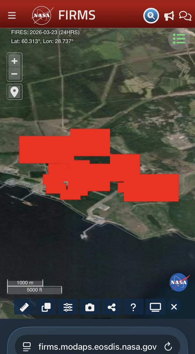 Janos Bananos🇳🇴 tweet media