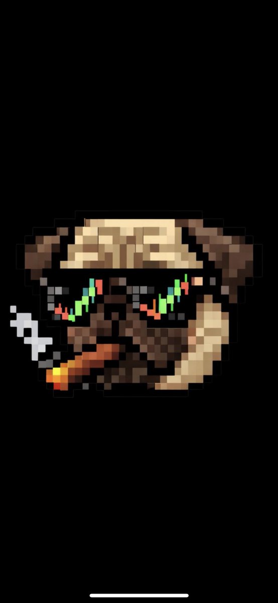 $UhOh The Pug tweet media