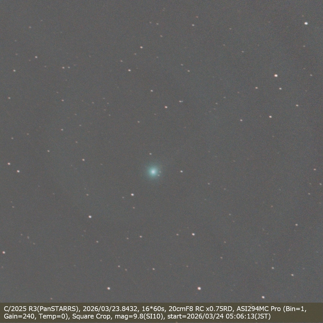 けむけむ tweet media