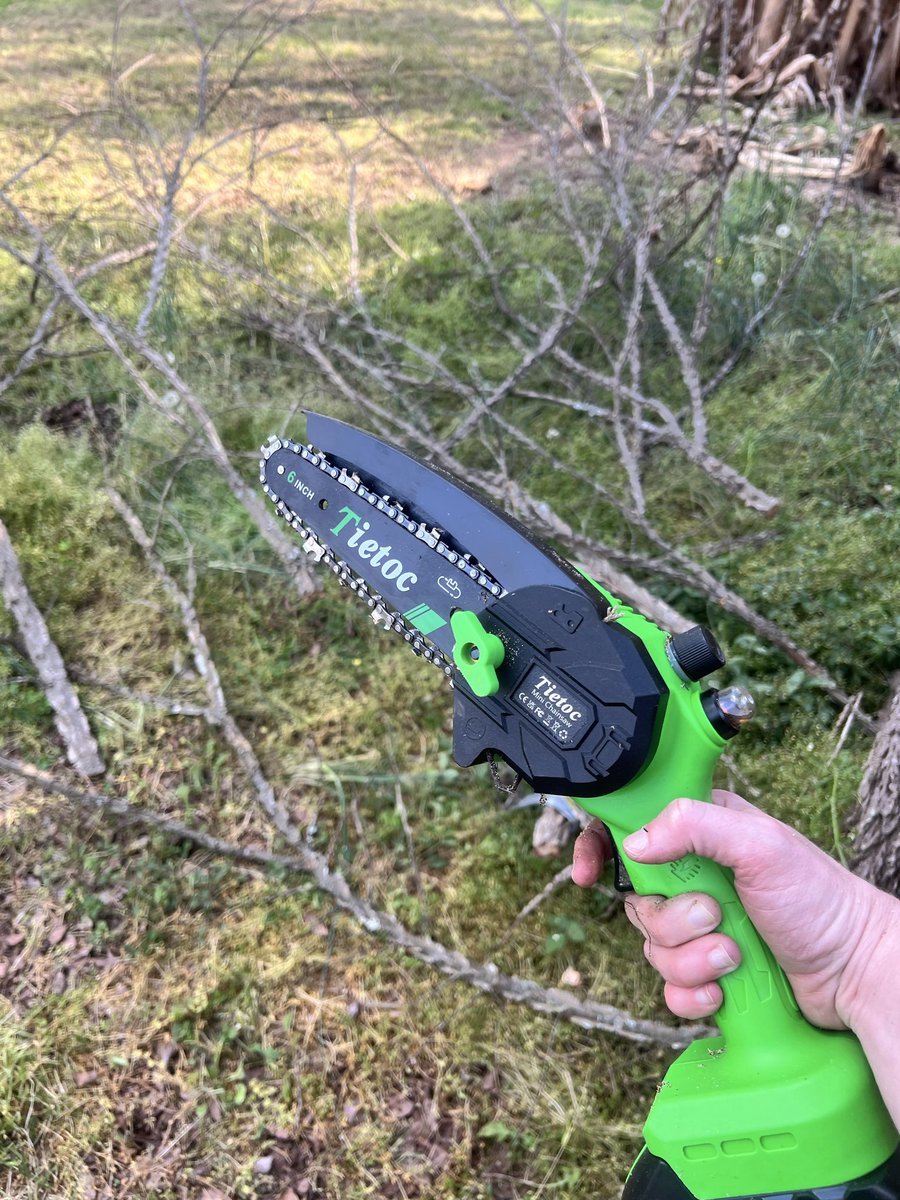 Dawn dish soap tweet media