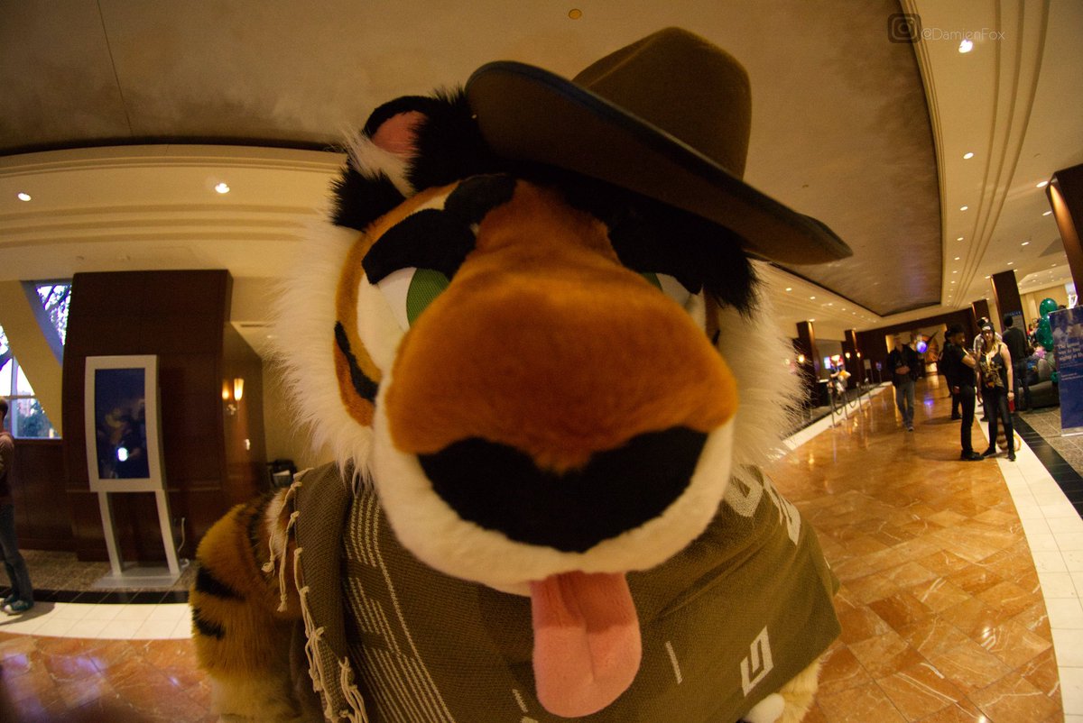 υ´• ﻌ •`υ tweet media