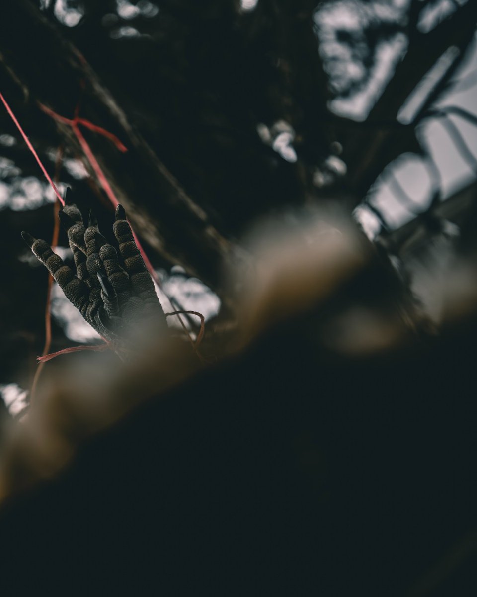 HEVI-Shot tweet media